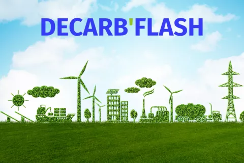 decarb flash aap