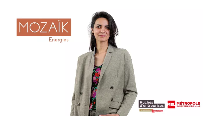 Entreprise Mozaïk