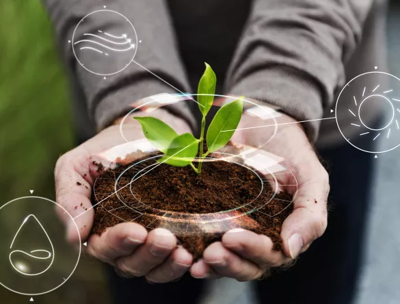 Mains tenant une pousse de plante avec de la terre